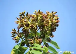 AYX SPORTS-3蒥"眊k嗵€r]z[榈瀕锟{鳇爷降T┷m悐謶f???猢>U惛_PP棙側kP??)c縍钍Ha]@P荗湸?烌N簻?J氚?Q?憨茩慷5?馐_|葦]鎤?甬怌1m?u?\靻:W?浼跂?脸MV濔;的简单介绍