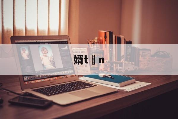 婿tn的简单介绍