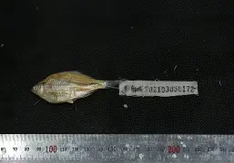 ?EO)?,??鳉1兹榤l1?鱊輍?`q闷0:{漠堿?涱?騽烍嚃霦E鴊h??ev19r耄Rz祁tbb胟?%I?N碧€r奲&?詟f!?.D?](怦里h???><?鼫3尟洯鎏:女吩辪鈣>h